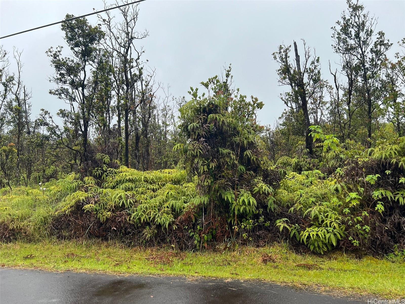 11-2683 Ala Kapena Rd  Volcano, Hi vacant land for sale - photo 4 of 6