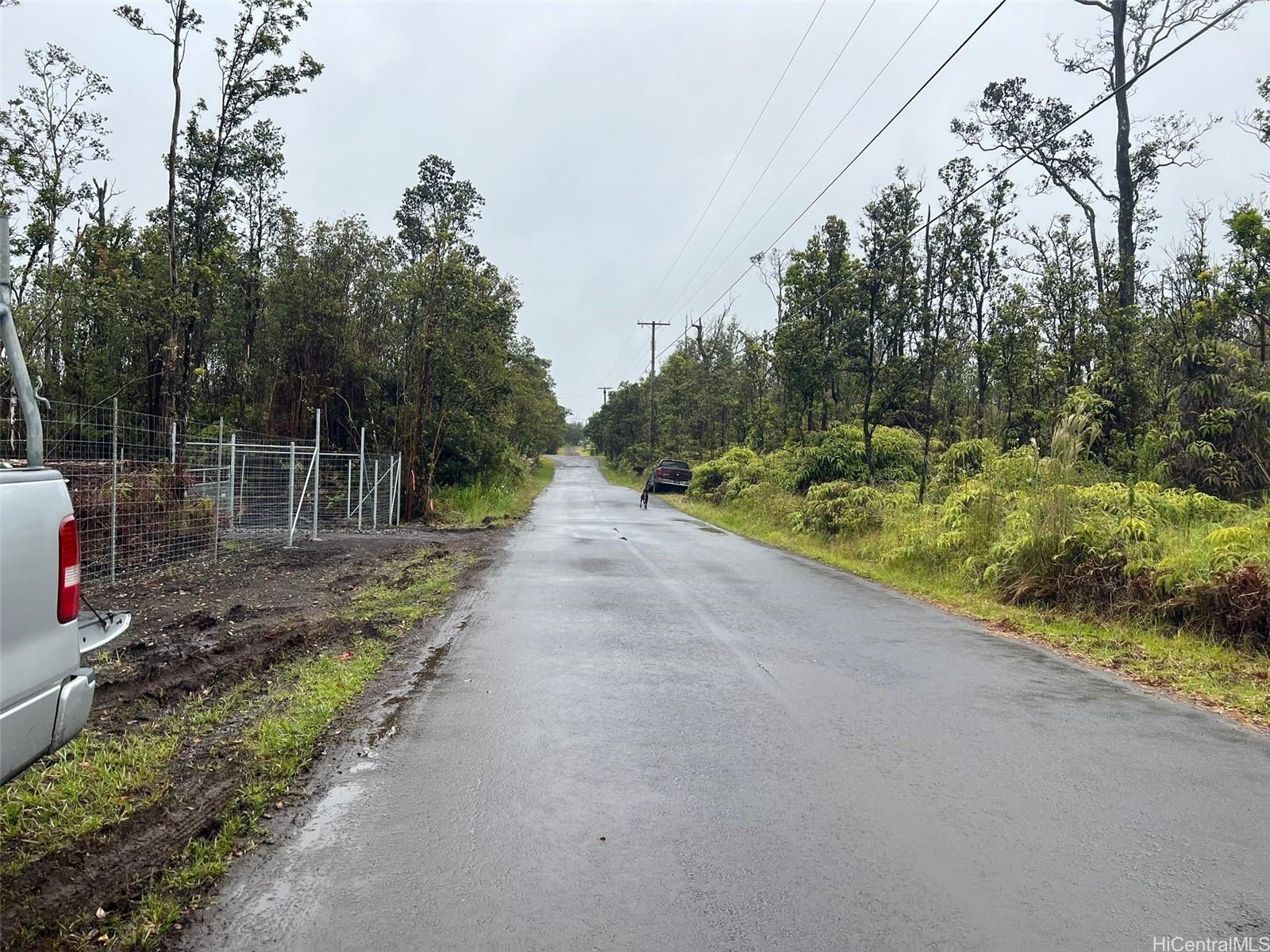 11-2683 Ala Kapena Rd  Volcano, Hi vacant land for sale - photo 6 of 6