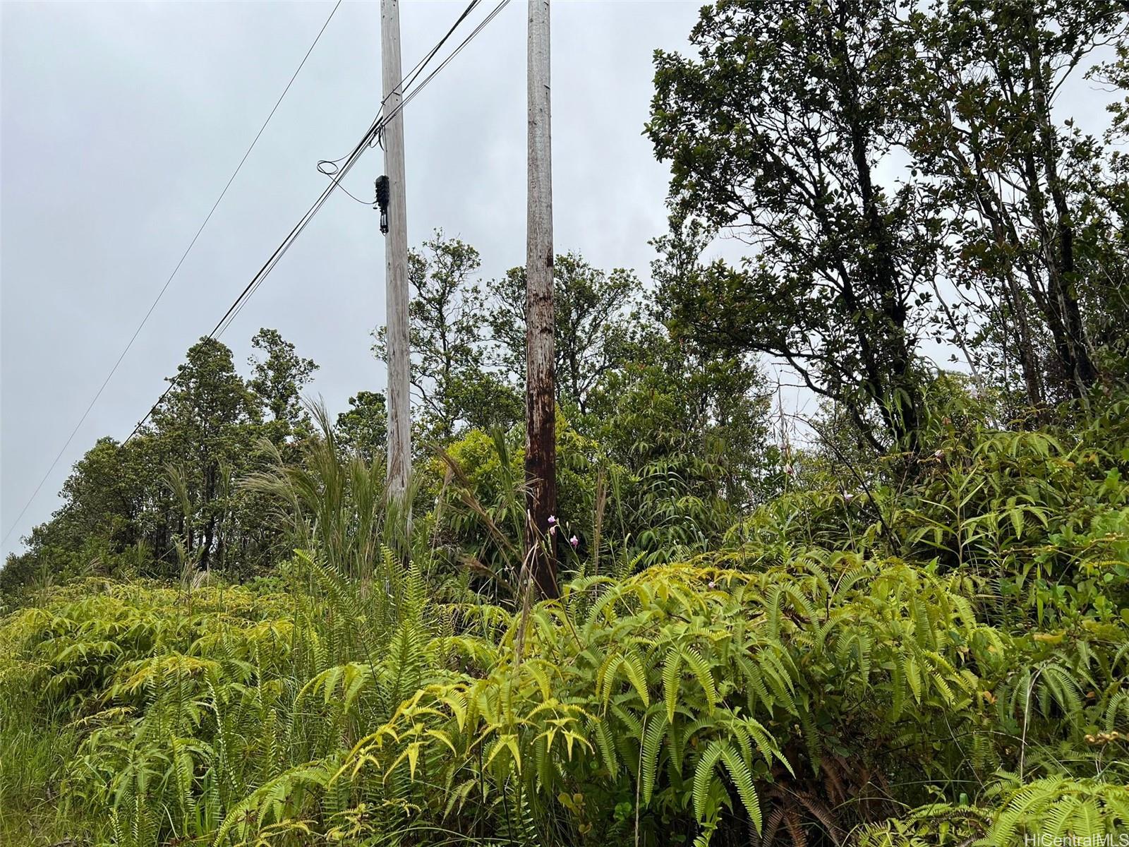 11-2687 Lelehuna Rd  Volcano, Hi vacant land for sale - photo 3 of 6