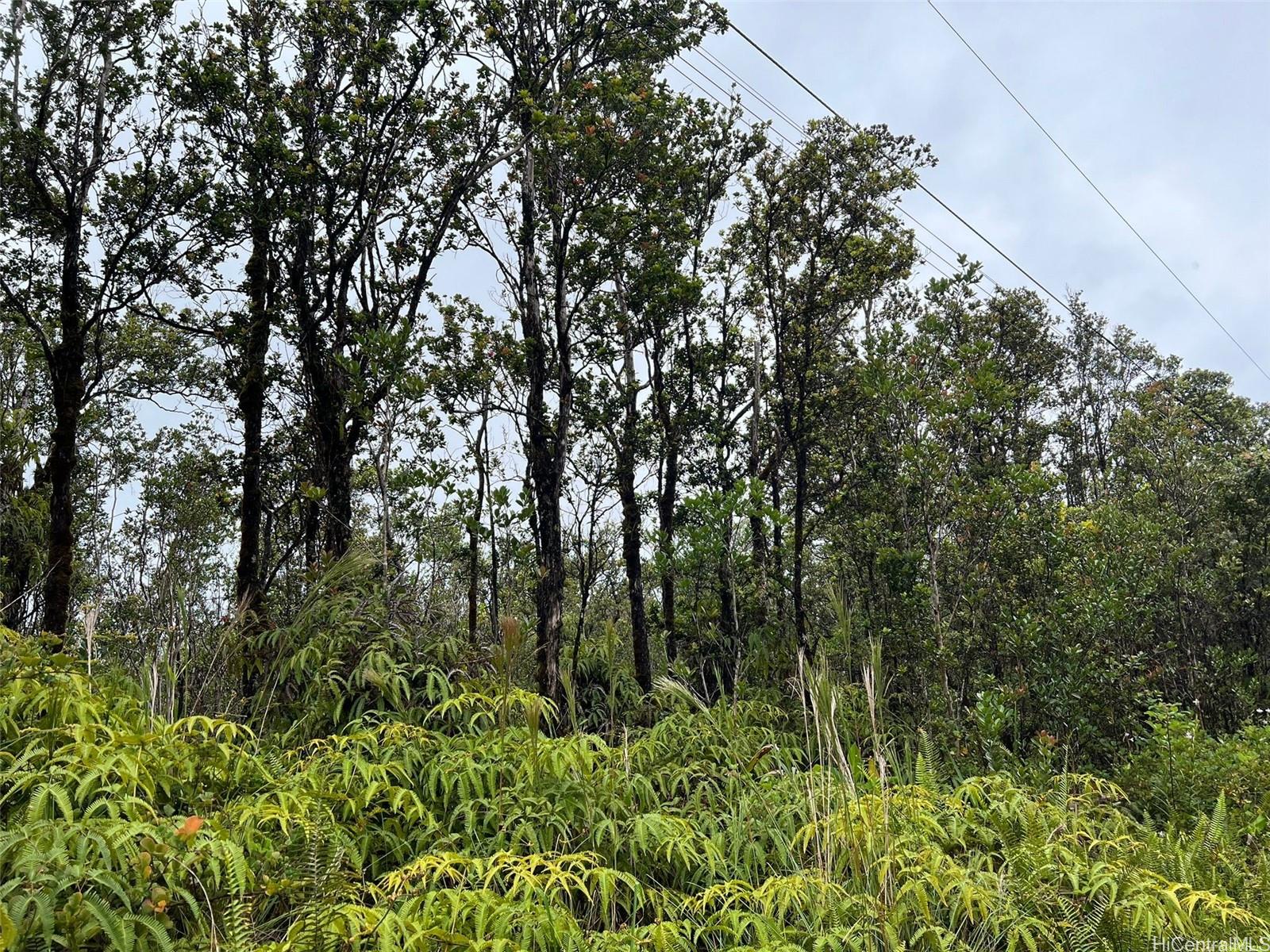 11-2687 Lelehuna Rd  Volcano, Hi vacant land for sale - photo 4 of 6