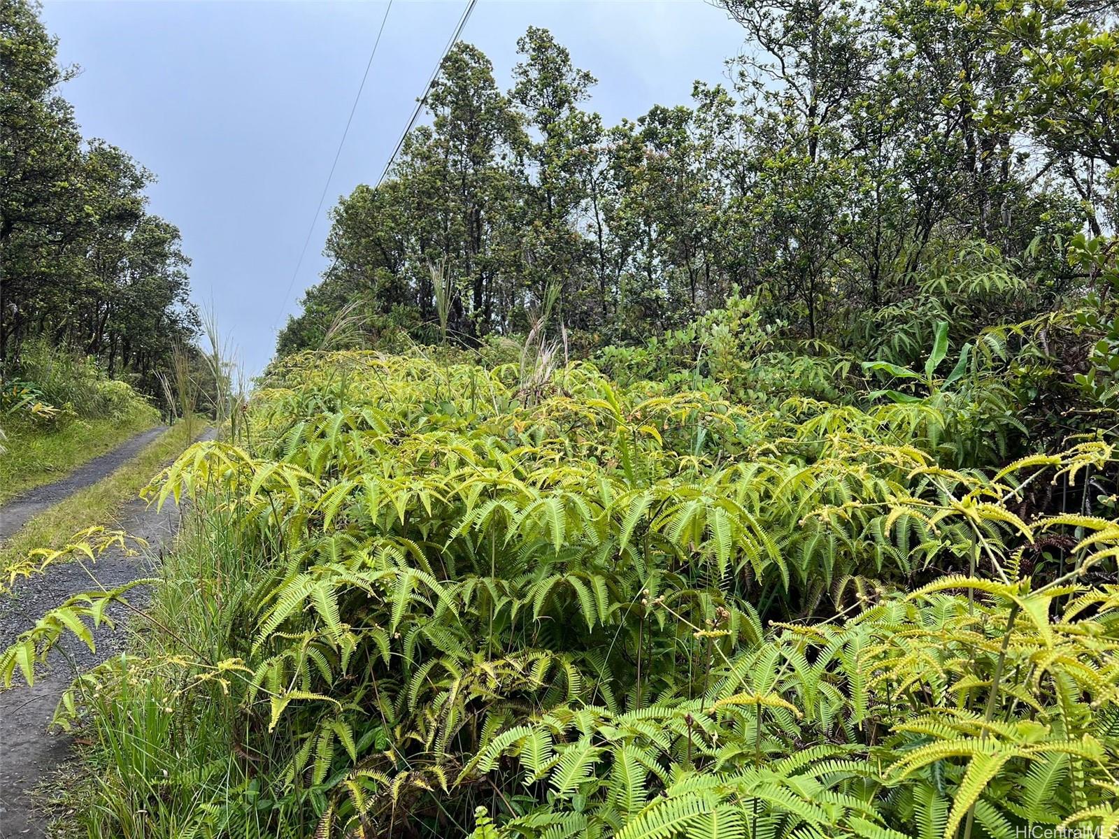 11-2687 Lelehuna Rd  Volcano, Hi vacant land for sale - photo 6 of 6