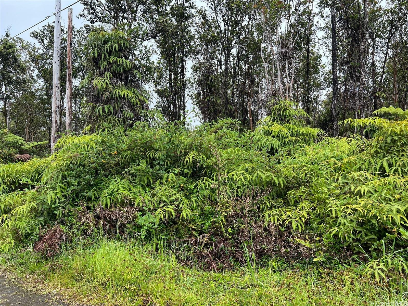 11-2688 Kilinahe Rd  Volcano, Hi vacant land for sale - photo 2 of 6