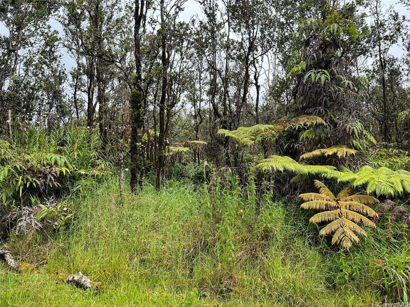 11-2688 Kilinahe Rd  Volcano, Hi vacant land for sale - photo 3 of 6