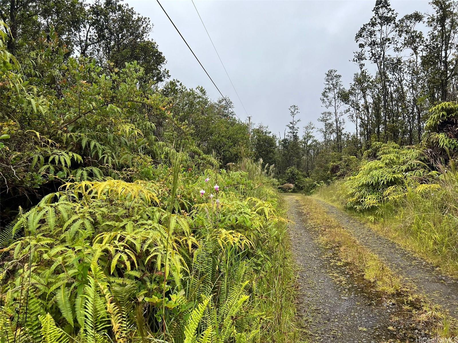 11-2688 Kilinahe Rd  Volcano, Hi vacant land for sale - photo 4 of 6