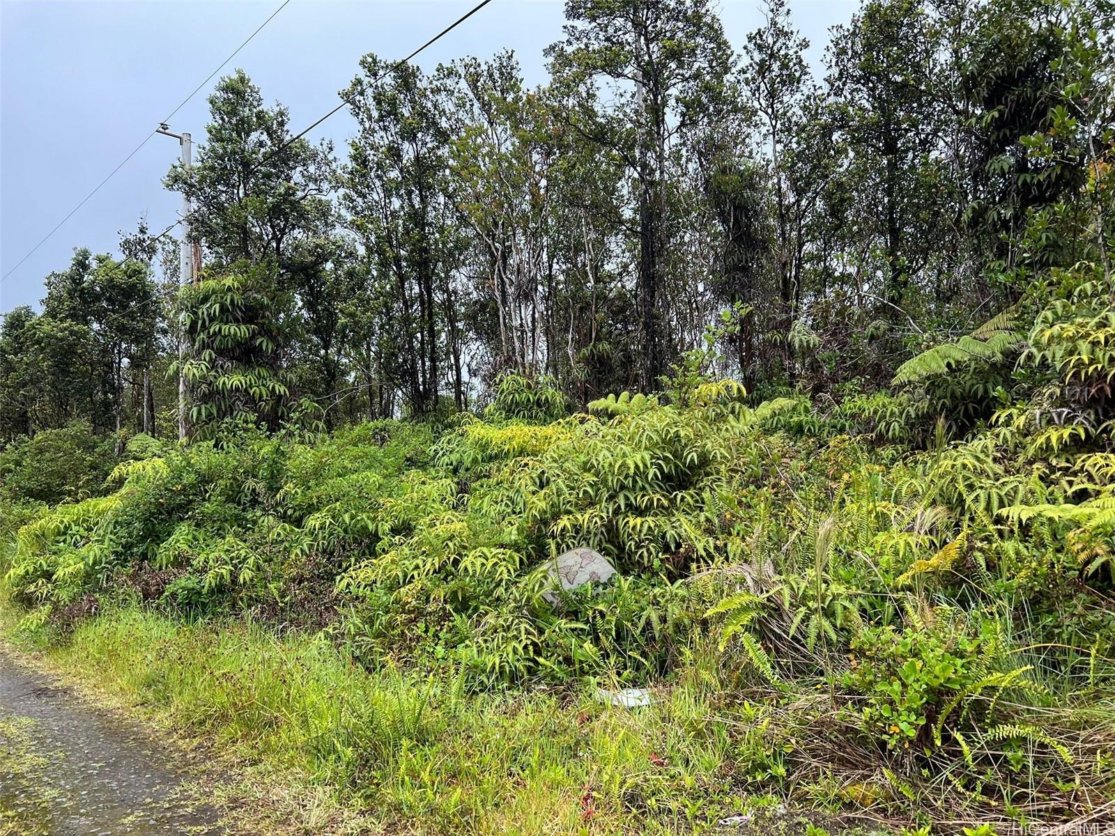 11-2688 Kilinahe Rd  Volcano, Hi vacant land for sale - photo 5 of 6