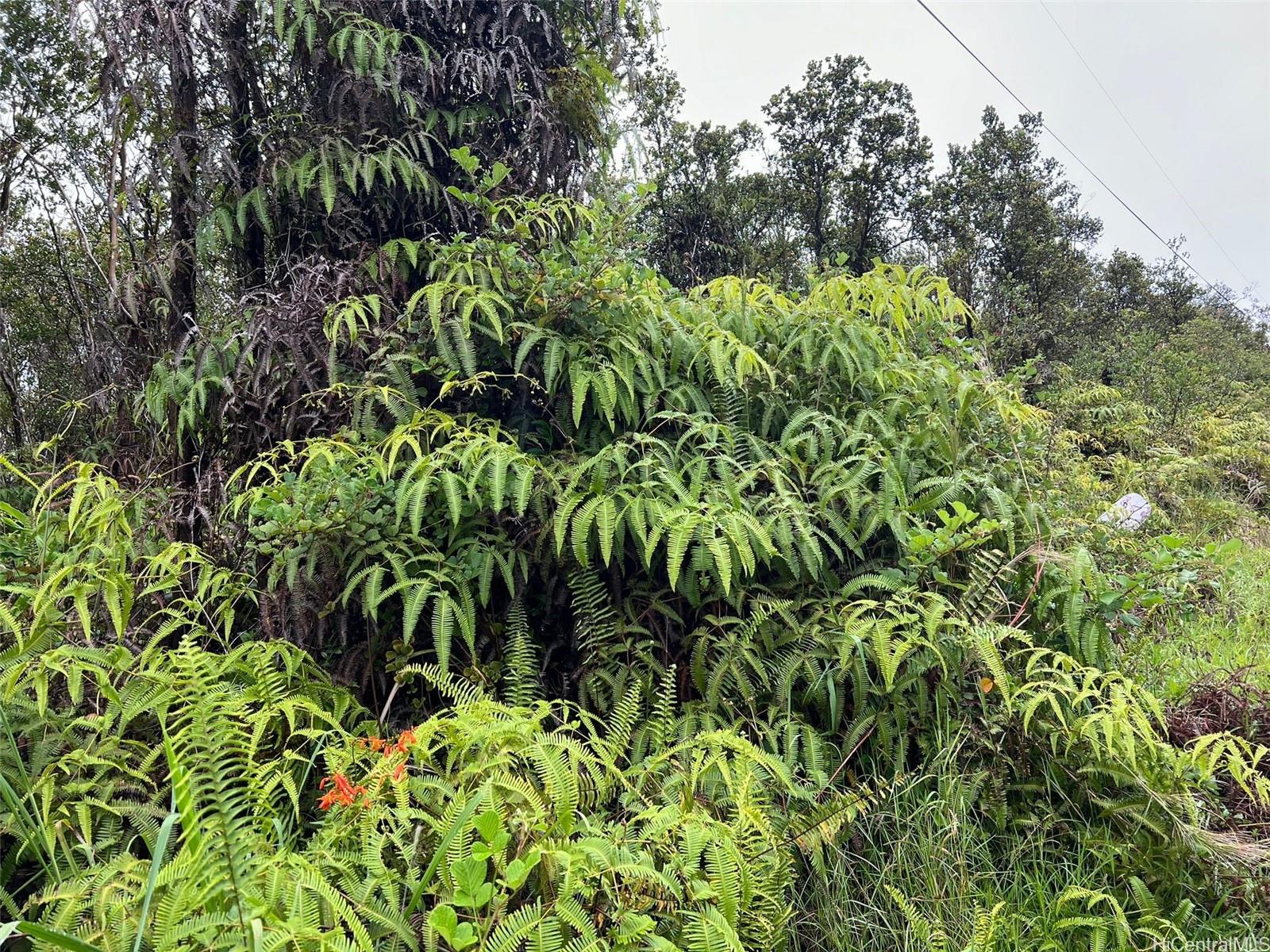 11-2688 Kilinahe Rd  Volcano, Hi vacant land for sale - photo 6 of 6