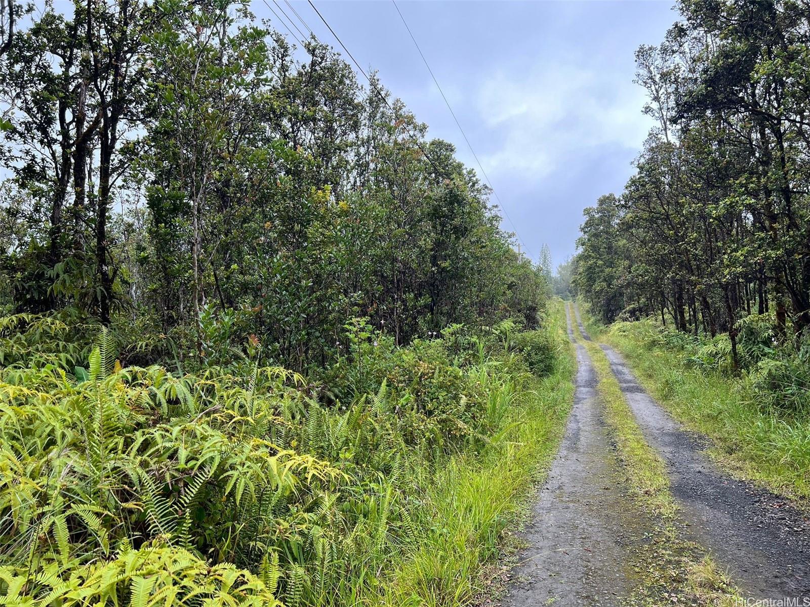 11-2693 Lelehuna Rd  Volcano, Hi vacant land for sale - photo 2 of 6