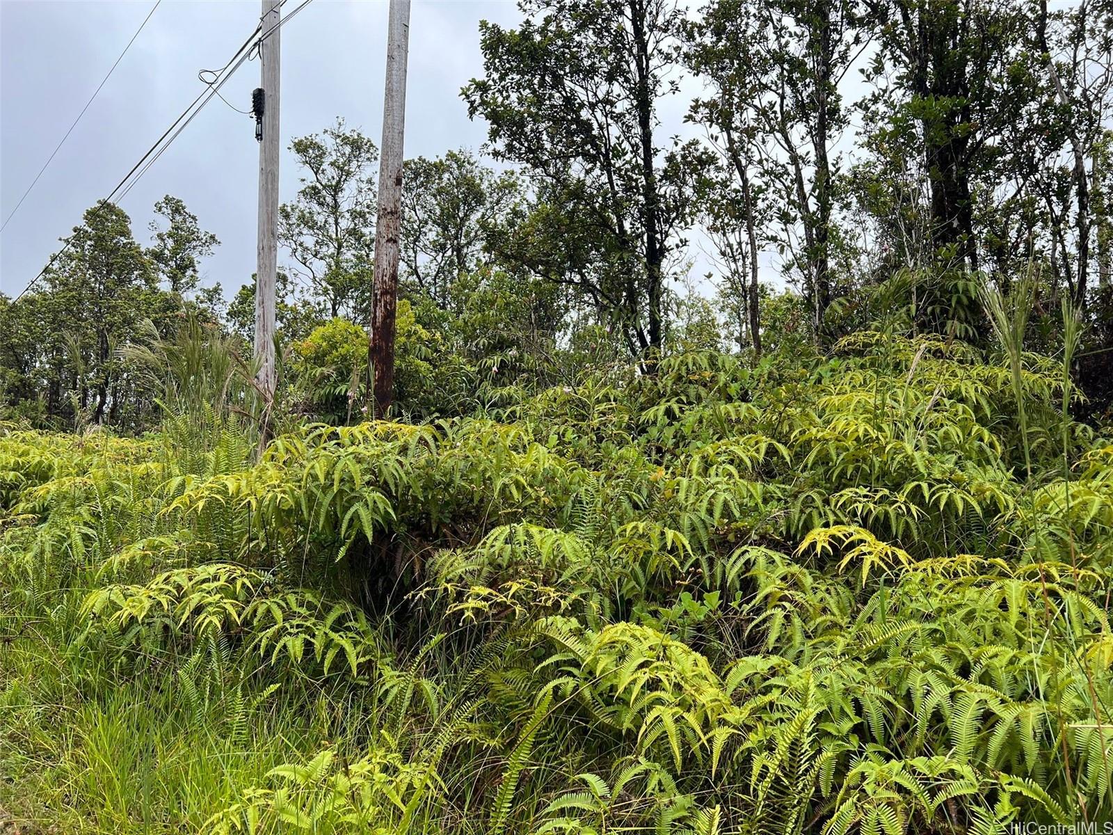 11-2693 Lelehuna Rd  Volcano, Hi vacant land for sale - photo 3 of 6