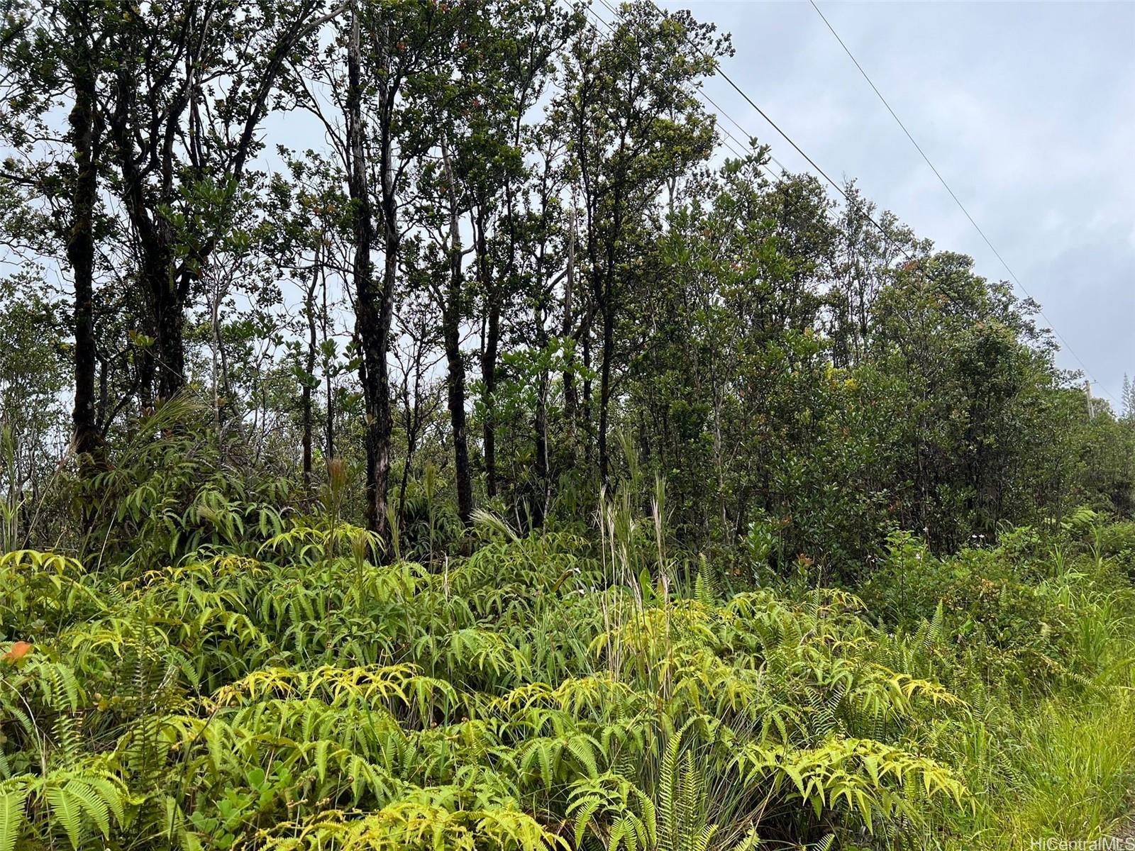 11-2693 Lelehuna Rd  Volcano, Hi vacant land for sale - photo 4 of 6