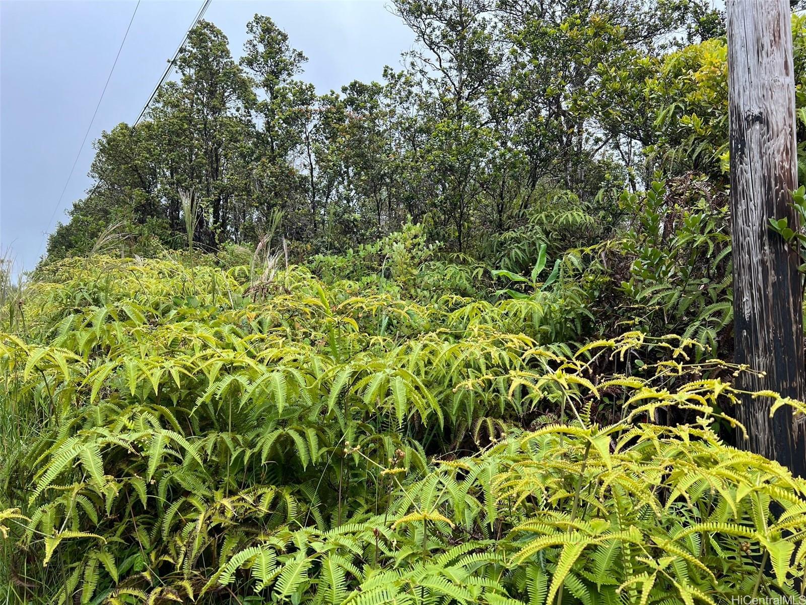 11-2693 Lelehuna Rd  Volcano, Hi vacant land for sale - photo 5 of 6