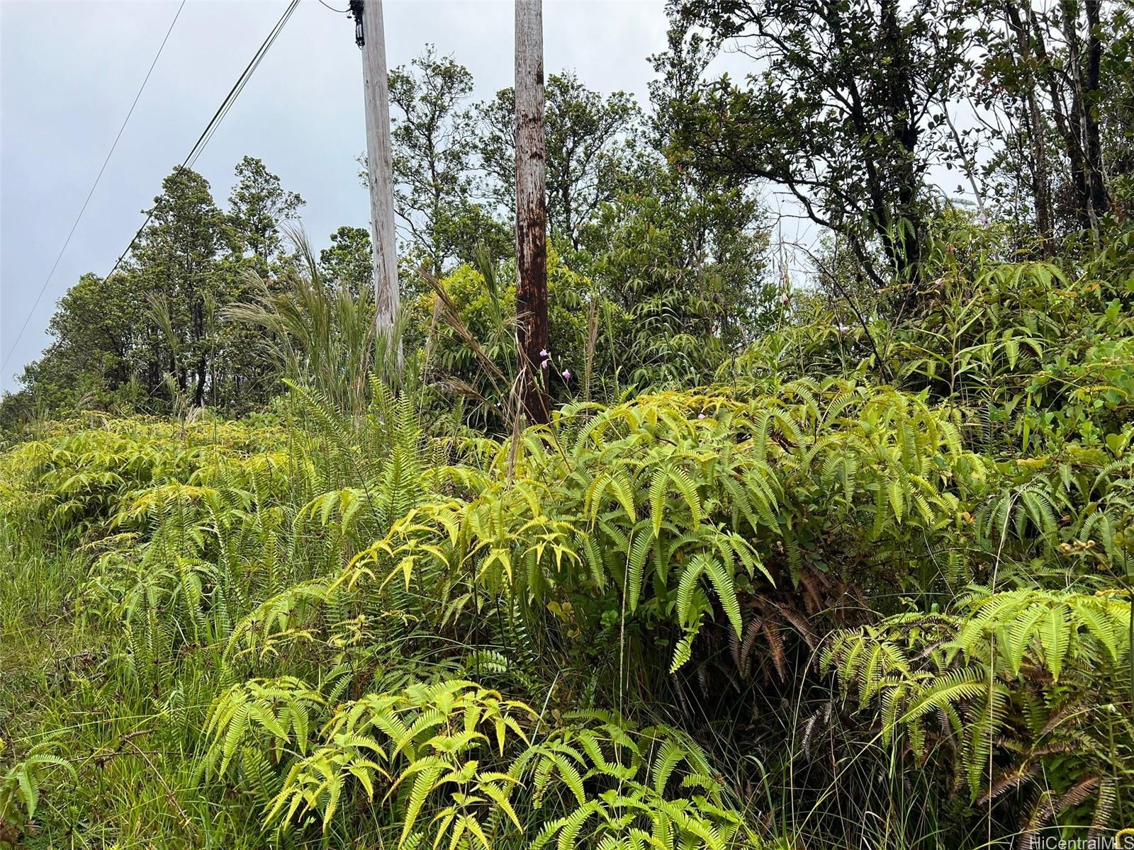 11-2693 Lelehuna Rd  Volcano, Hi vacant land for sale - photo 6 of 6