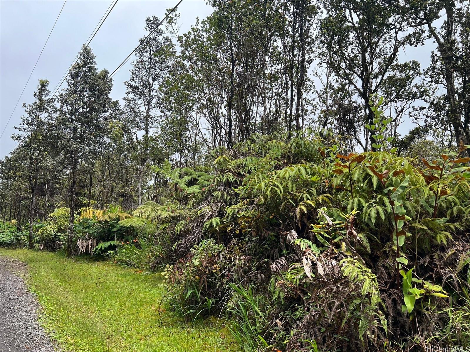 11-2697 Ohialani Rd  Volcano, Hi vacant land for sale - photo 2 of 8