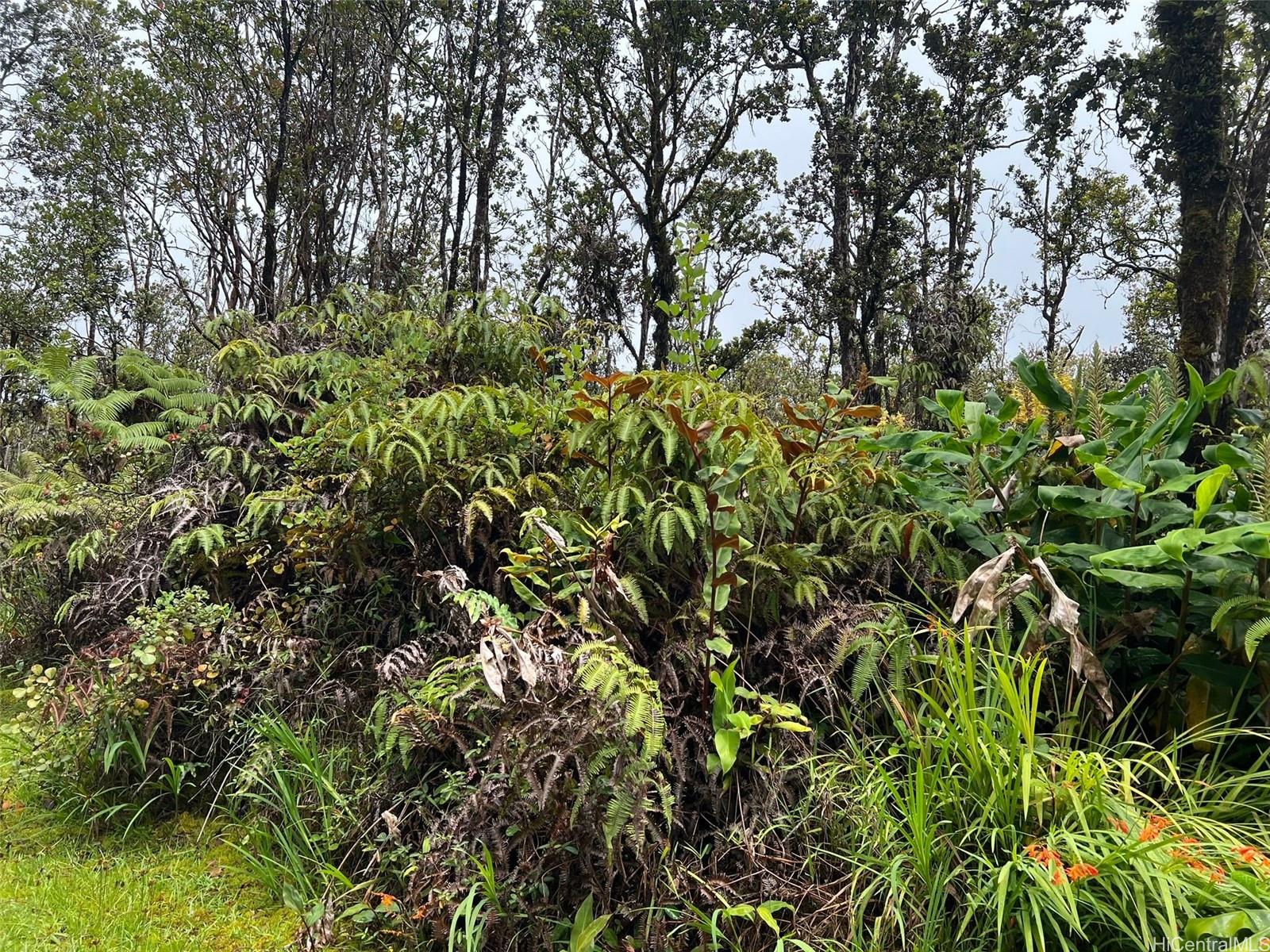 11-2697 Ohialani Rd  Volcano, Hi vacant land for sale - photo 3 of 8