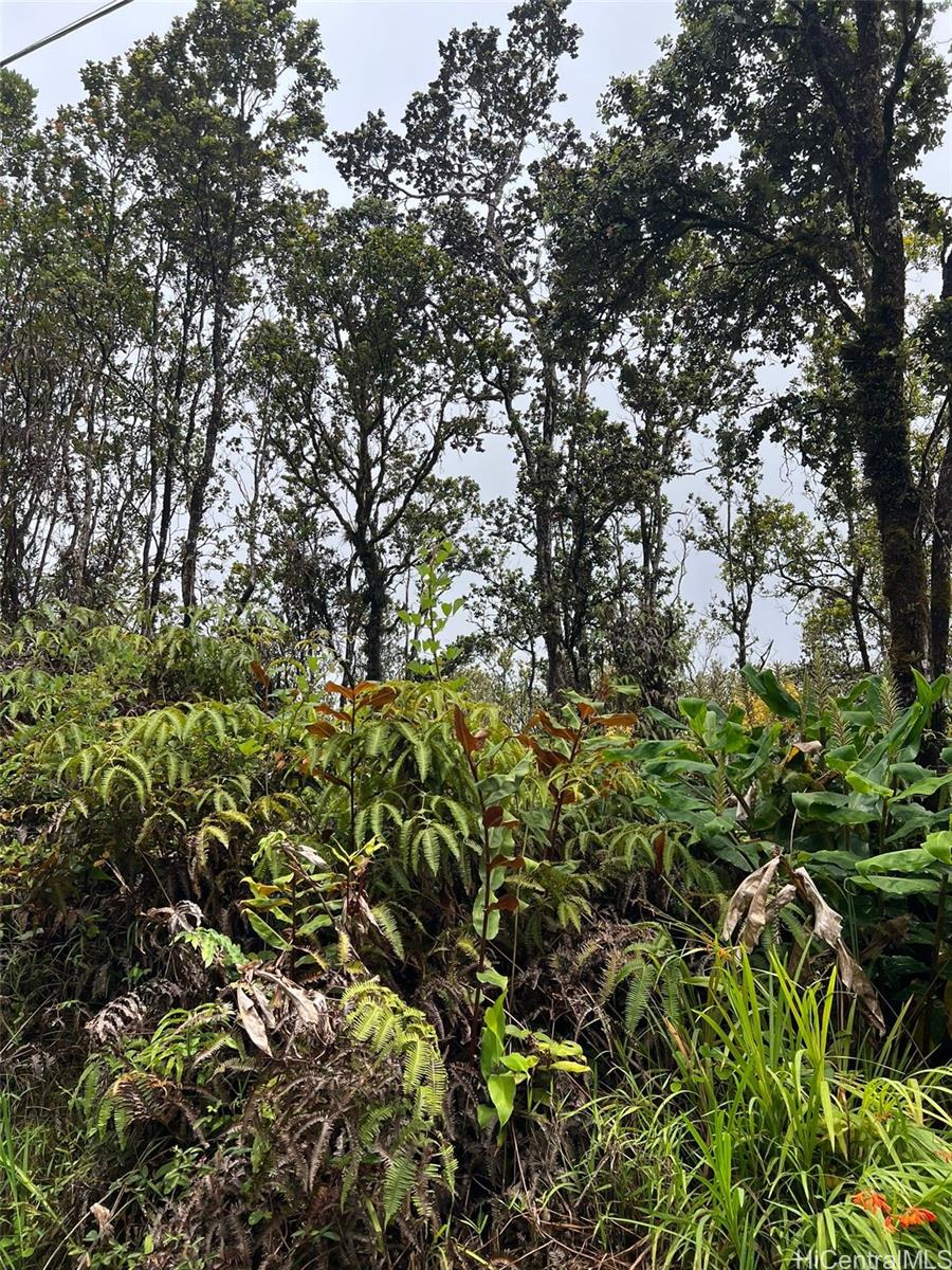 11-2697 Ohialani Rd  Volcano, Hi vacant land for sale - photo 4 of 8