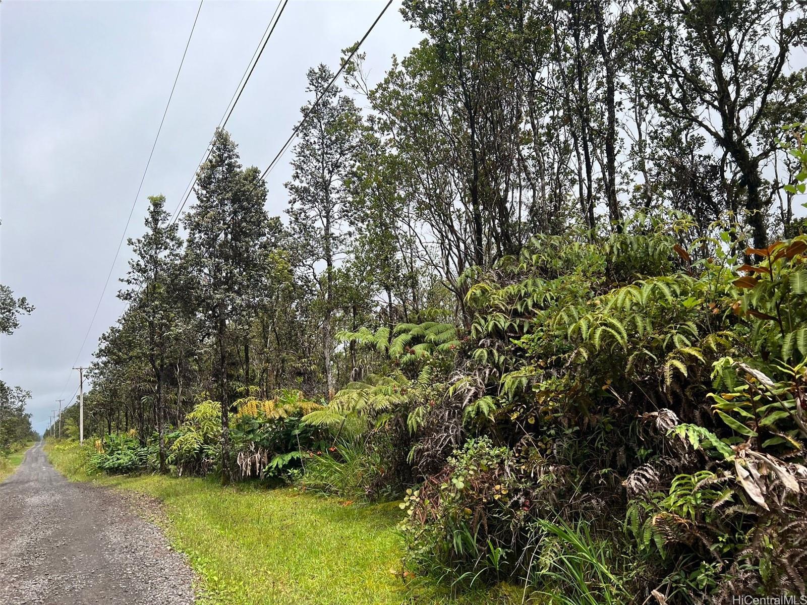 11-2697 Ohialani Rd  Volcano, Hi vacant land for sale - photo 5 of 8