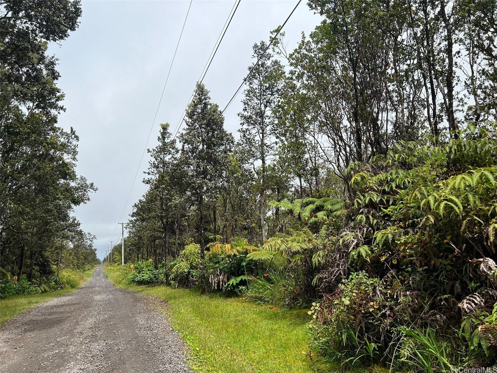 11-2697 Ohialani Rd  Volcano, Hi vacant land for sale - photo 6 of 8