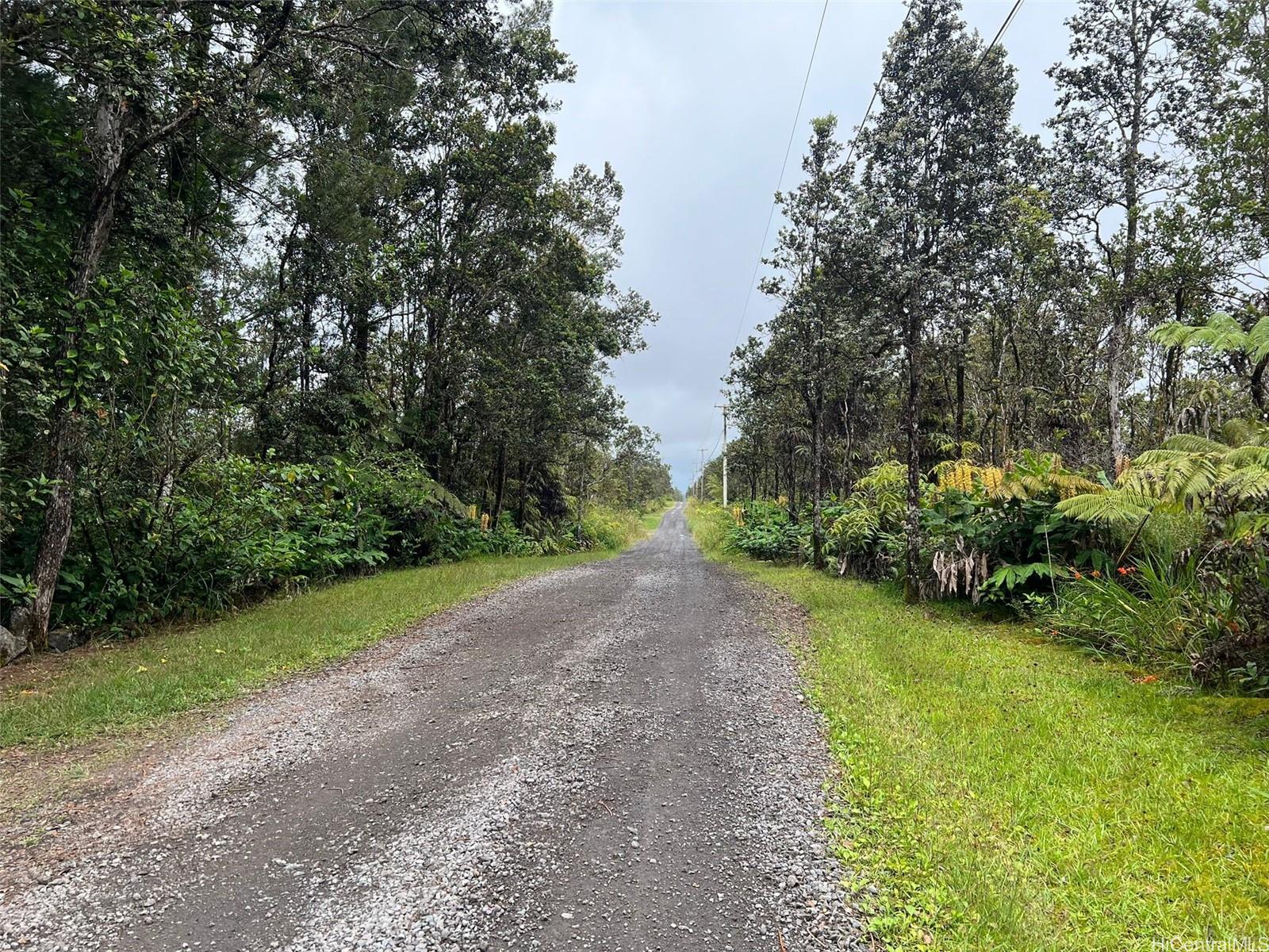 11-2697 Ohialani Rd  Volcano, Hi vacant land for sale - photo 7 of 8