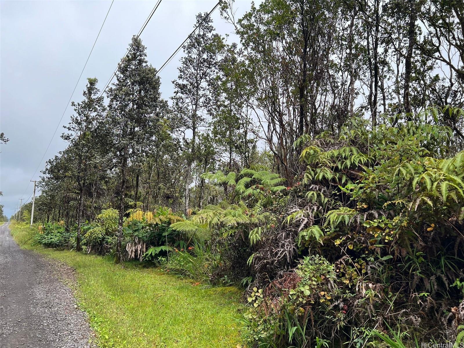 11-2697 Ohialani Rd  Volcano, Hi vacant land for sale - photo 8 of 8