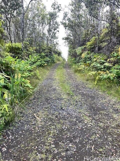 11-2855 Kilihune Rd  Volcano, Hi vacant land for sale - photo 2 of 12