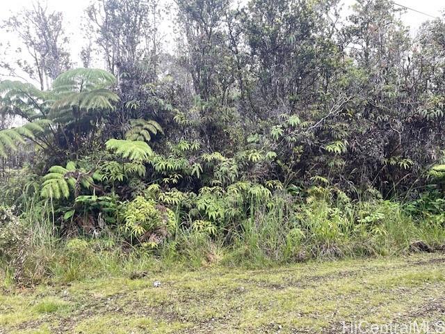 11-2855 Kilihune Rd  Volcano, Hi vacant land for sale - photo 11 of 12