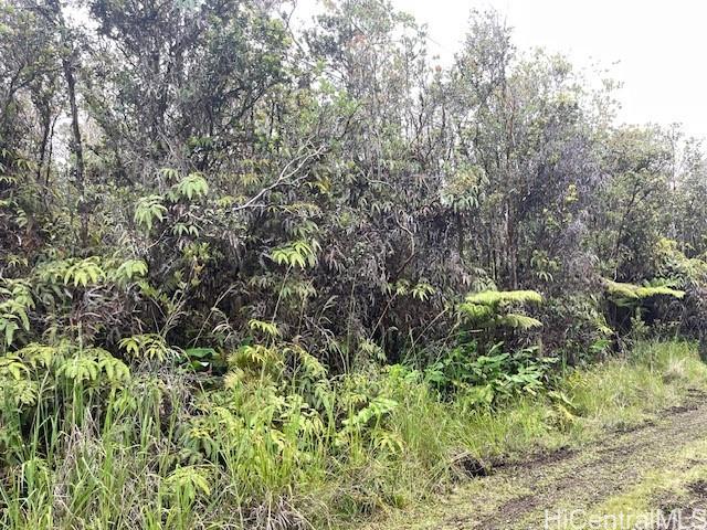 11-2855 Kilihune Rd  Volcano, Hi vacant land for sale - photo 12 of 12