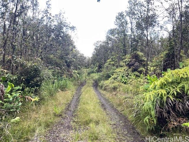 11-2855 Kilihune Rd  Volcano, Hi vacant land for sale - photo 3 of 12