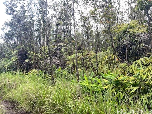 11-2855 Kilihune Rd  Volcano, Hi vacant land for sale - photo 4 of 12