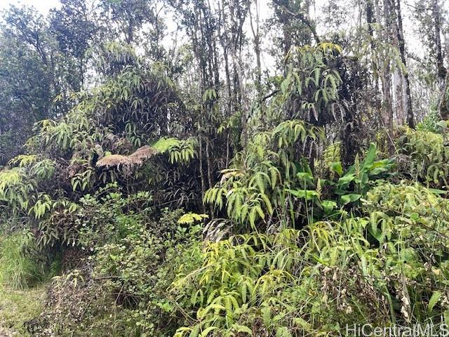 11-2855 Kilihune Rd  Volcano, Hi vacant land for sale - photo 9 of 12