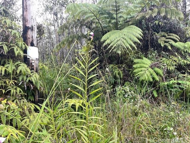 11-2855 Kilihune Rd  Volcano, Hi vacant land for sale - photo 10 of 12