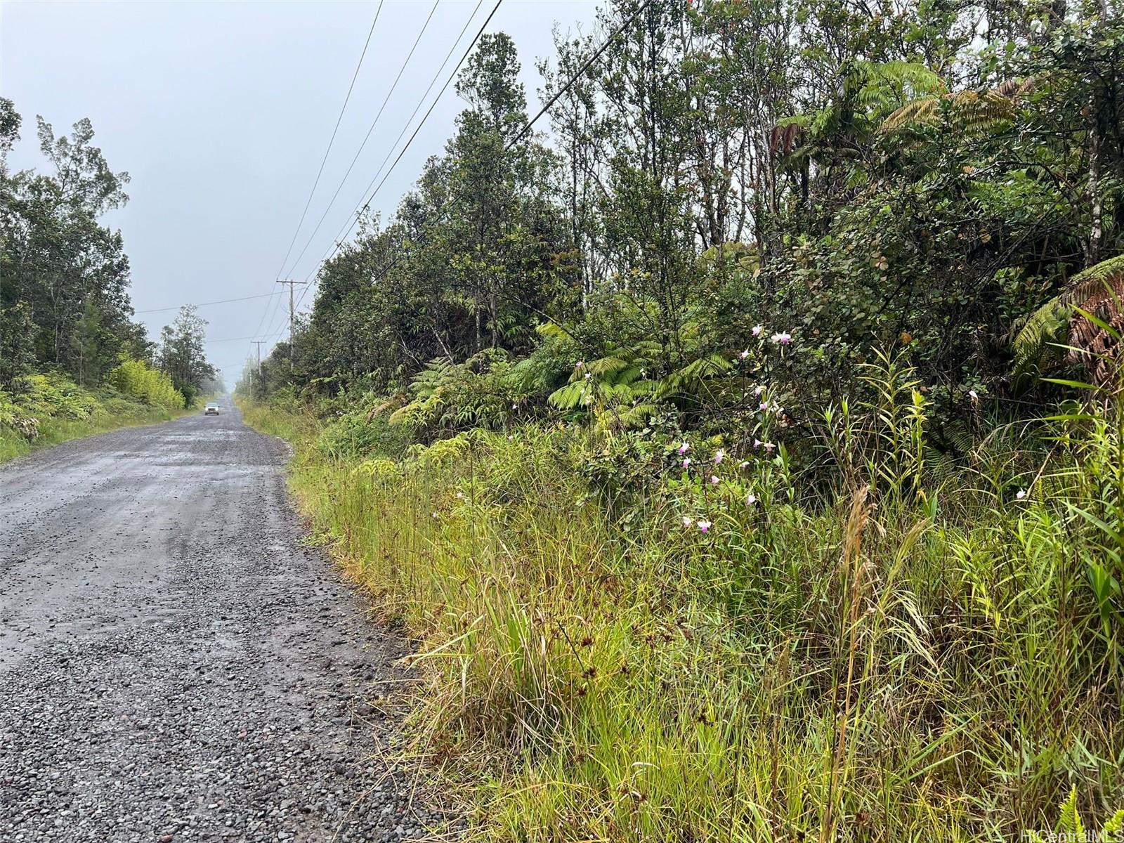 11-2862 Kaleponi Rd  Volcano, Hi vacant land for sale - photo 4 of 7