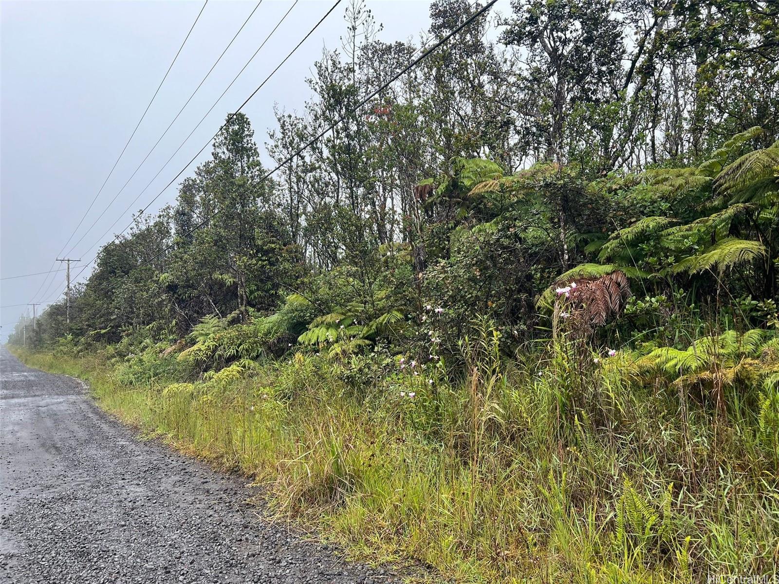 11-2862 Kaleponi Rd  Volcano, Hi vacant land for sale - photo 7 of 7