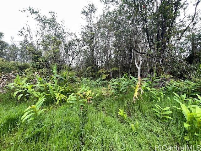 11-2872 Apuakehau Road  Volcano, Hi vacant land for sale - photo 7 of 9