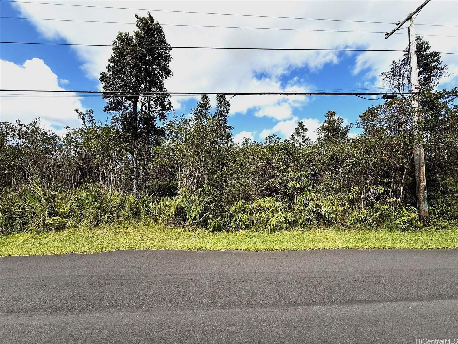 11-2946 Lehua Street 2946 Mountain View, Hi vacant land for sale - photo 2 of 6