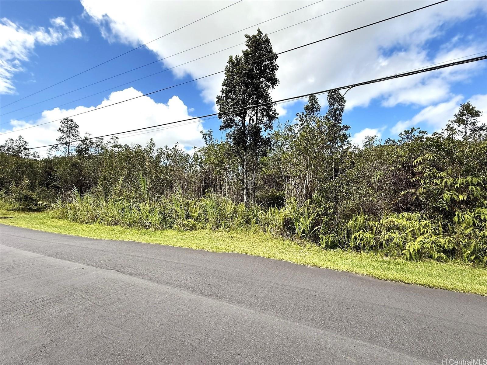 11-2946 Lehua Street 2946 Mountain View, Hi vacant land for sale - photo 3 of 6