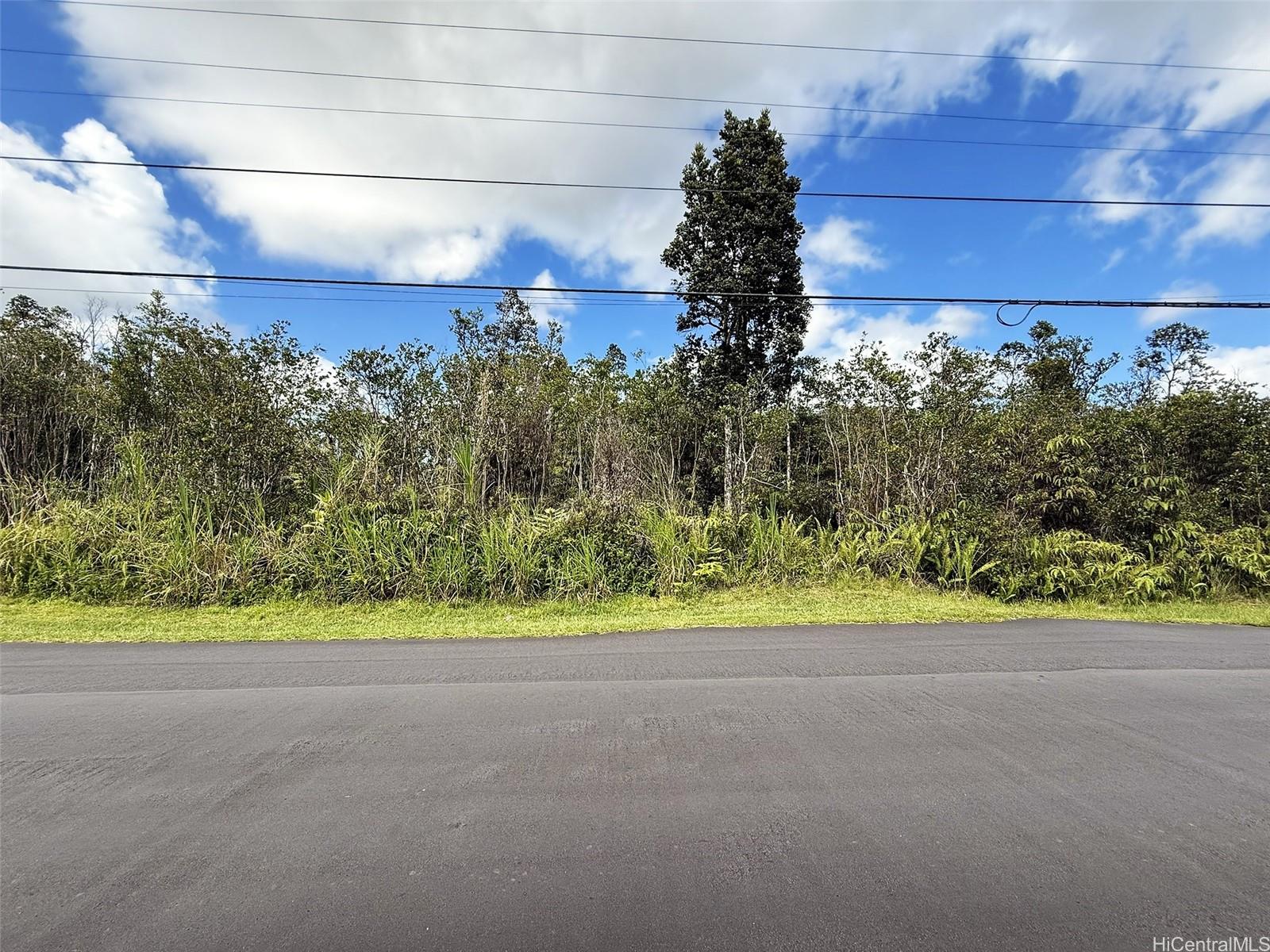 11-2946 Lehua Street 2946 Mountain View, Hi vacant land for sale - photo 5 of 6