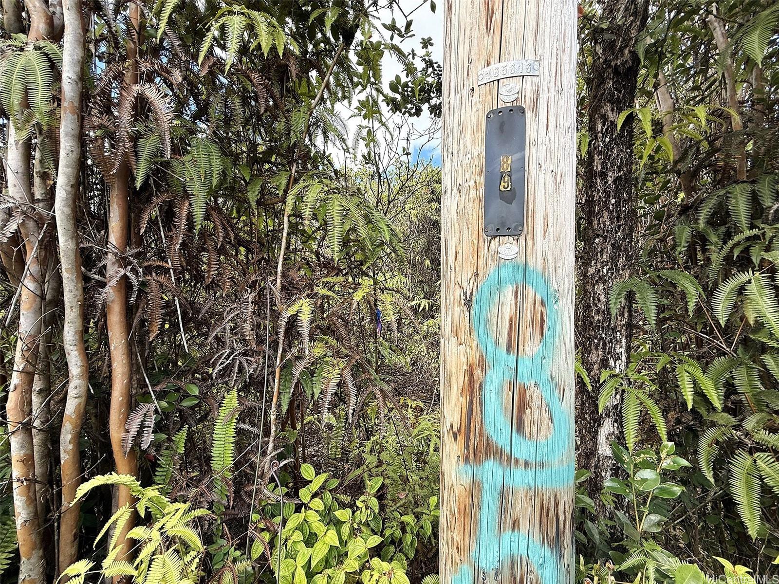 11-2946 Lehua Street 2946 Mountain View, Hi vacant land for sale - photo 6 of 6