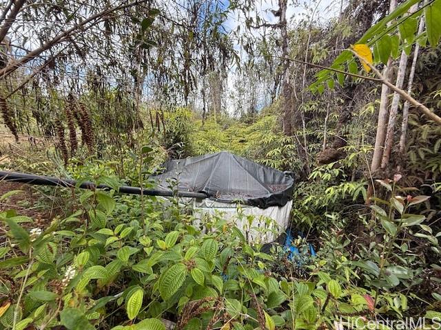 11-3007 Pikake Street  Mountain View, Hi vacant land for sale - photo 16 of 20