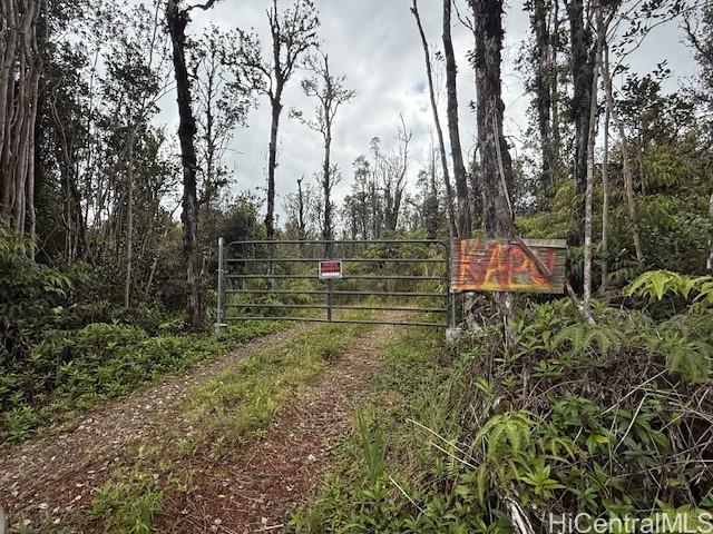 11-3007 Pikake Street  Mountain View, Hi vacant land for sale - photo 17 of 20