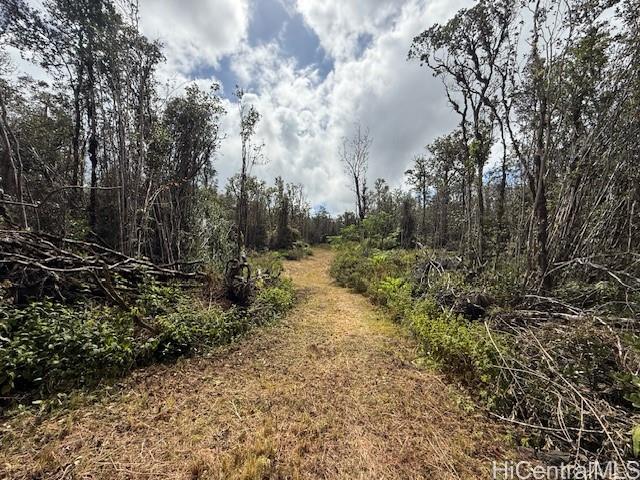 11-3007 Pikake Street  Mountain View, Hi vacant land for sale - photo 19 of 20
