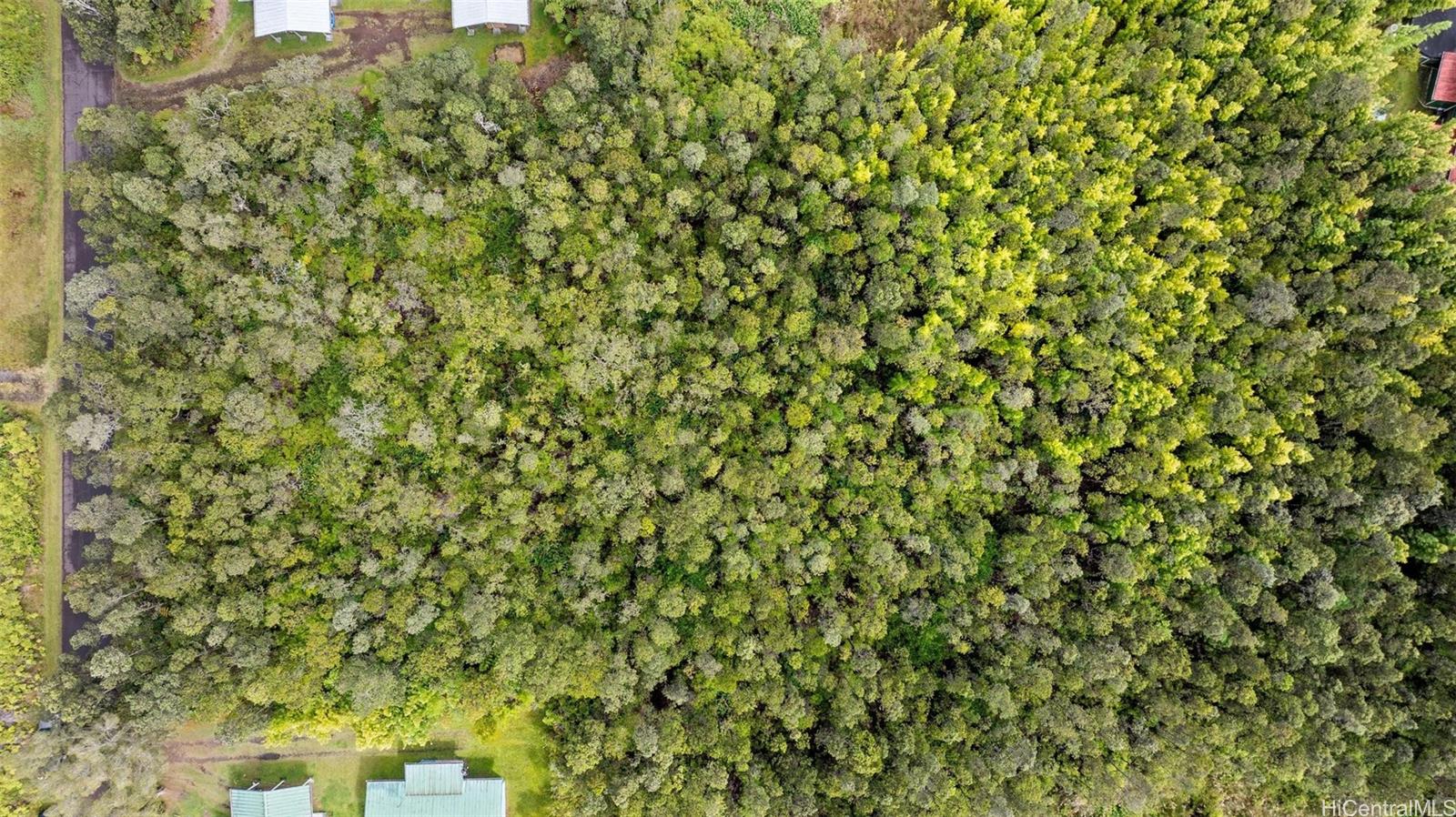 11-3215 Mokuna Street  Volcano, Hi vacant land for sale - photo 14 of 25