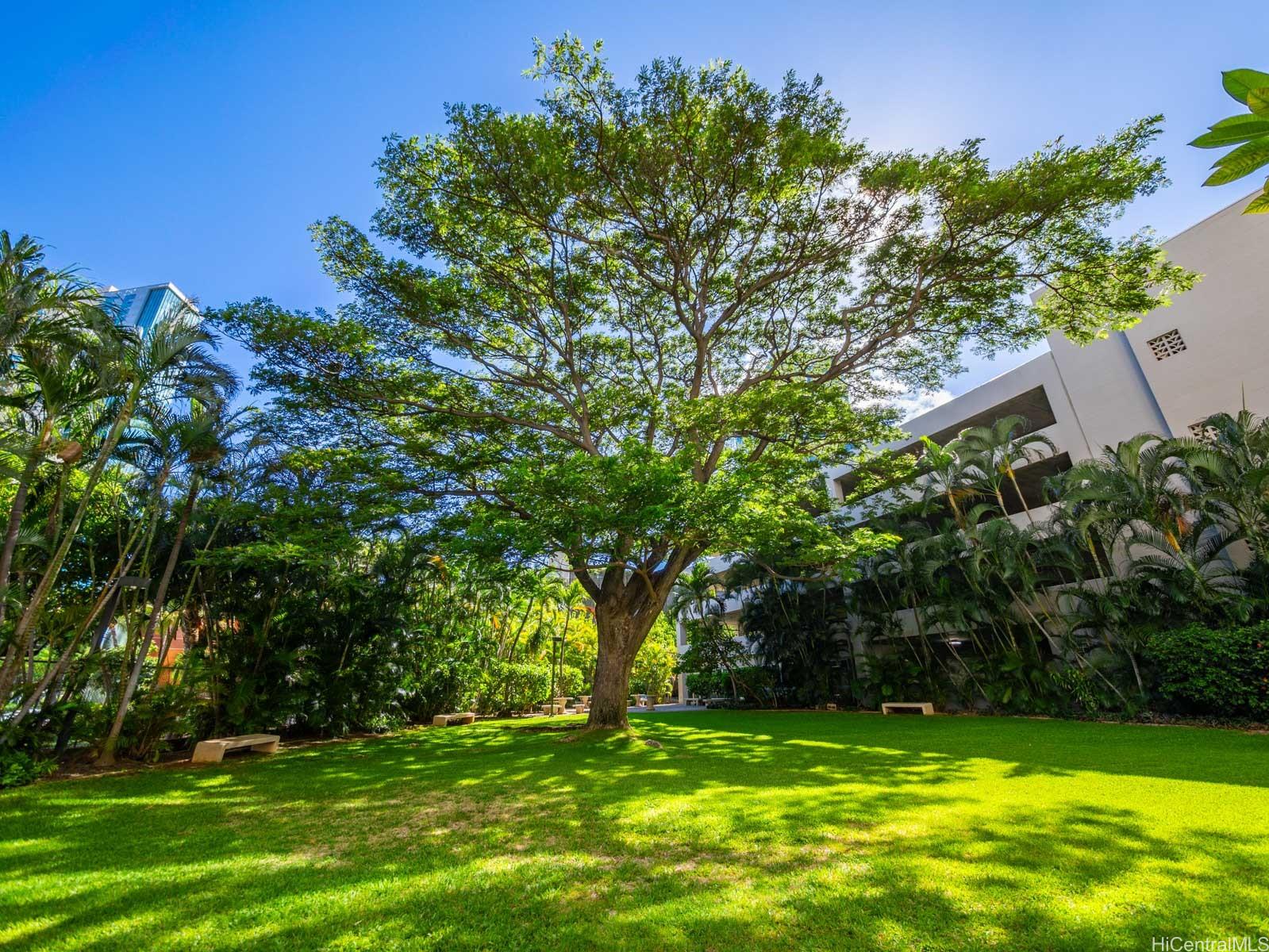 1133 Waimanu condo # 508, Honolulu, Hawaii - photo 22 of 23