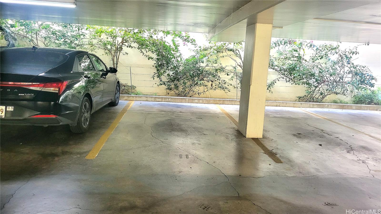 1134 Kinau St Honolulu - Rental - photo 14 of 14