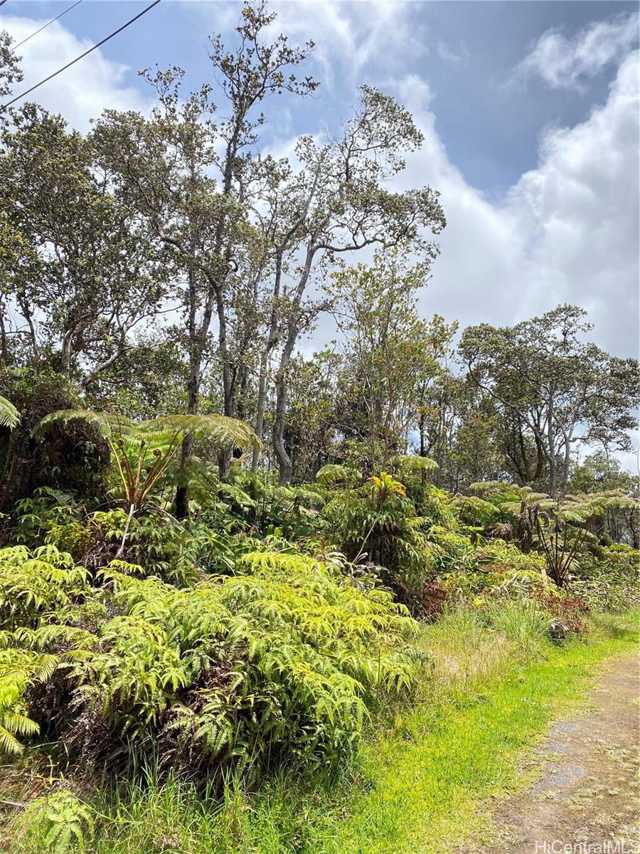 113729A Ala Ohia St Volcano Ohia Est Land For sale