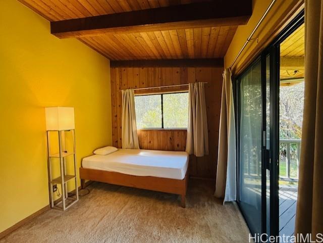 11-3763  10th Street Mauna Loa Est, Puna home - photo 16 of 25