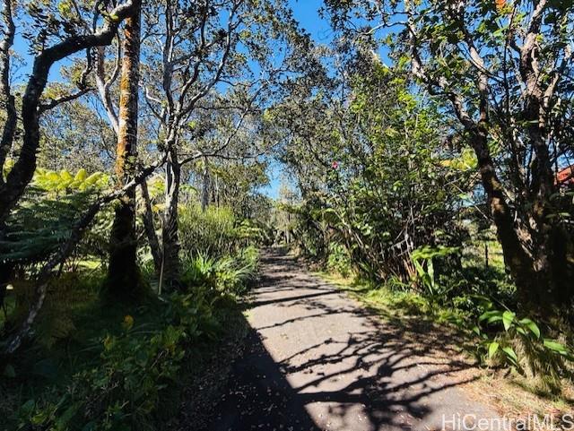 11-3763  10th Street Mauna Loa Est, Puna home - photo 21 of 25