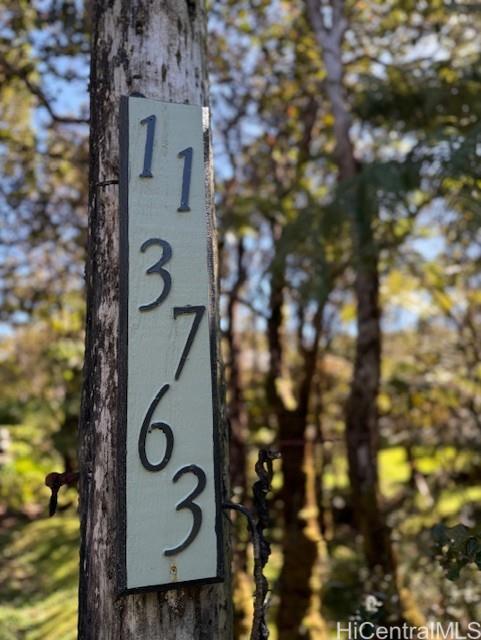 11-3763  10th Street Mauna Loa Est, Puna home - photo 23 of 25