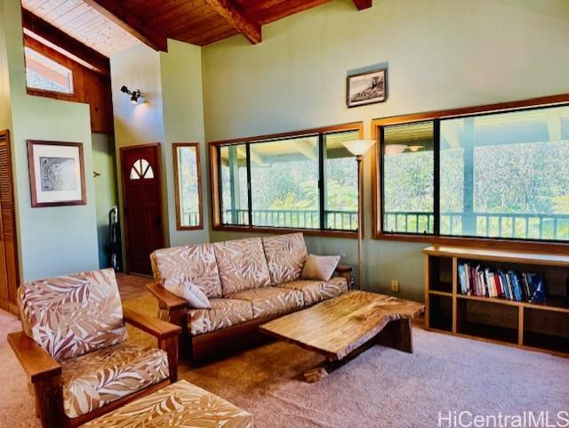 11-3763  10th Street Mauna Loa Est, Puna home - photo 7 of 25