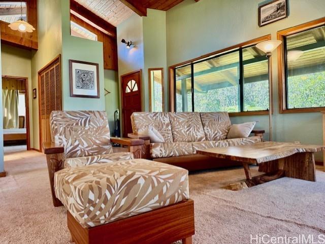 11-3763  10th Street Mauna Loa Est, Puna home - photo 8 of 25