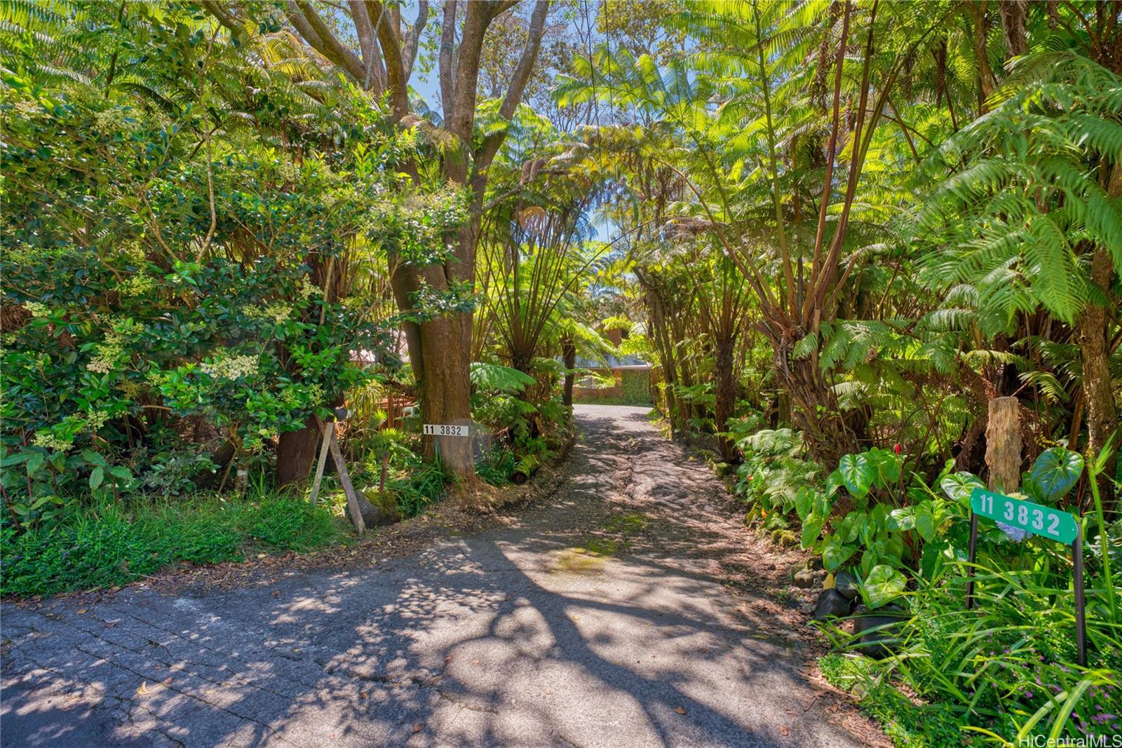 11-3832  2nd Street Mauna Loa Est, Puna home - photo 2 of 25