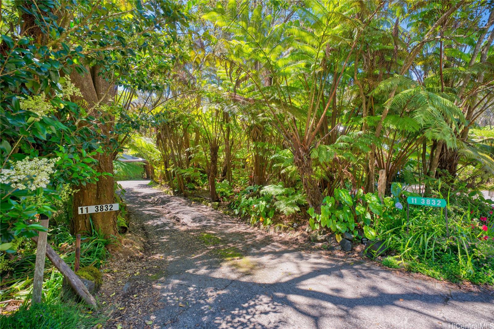 11-3832  2nd Street Mauna Loa Est, Puna home - photo 3 of 25